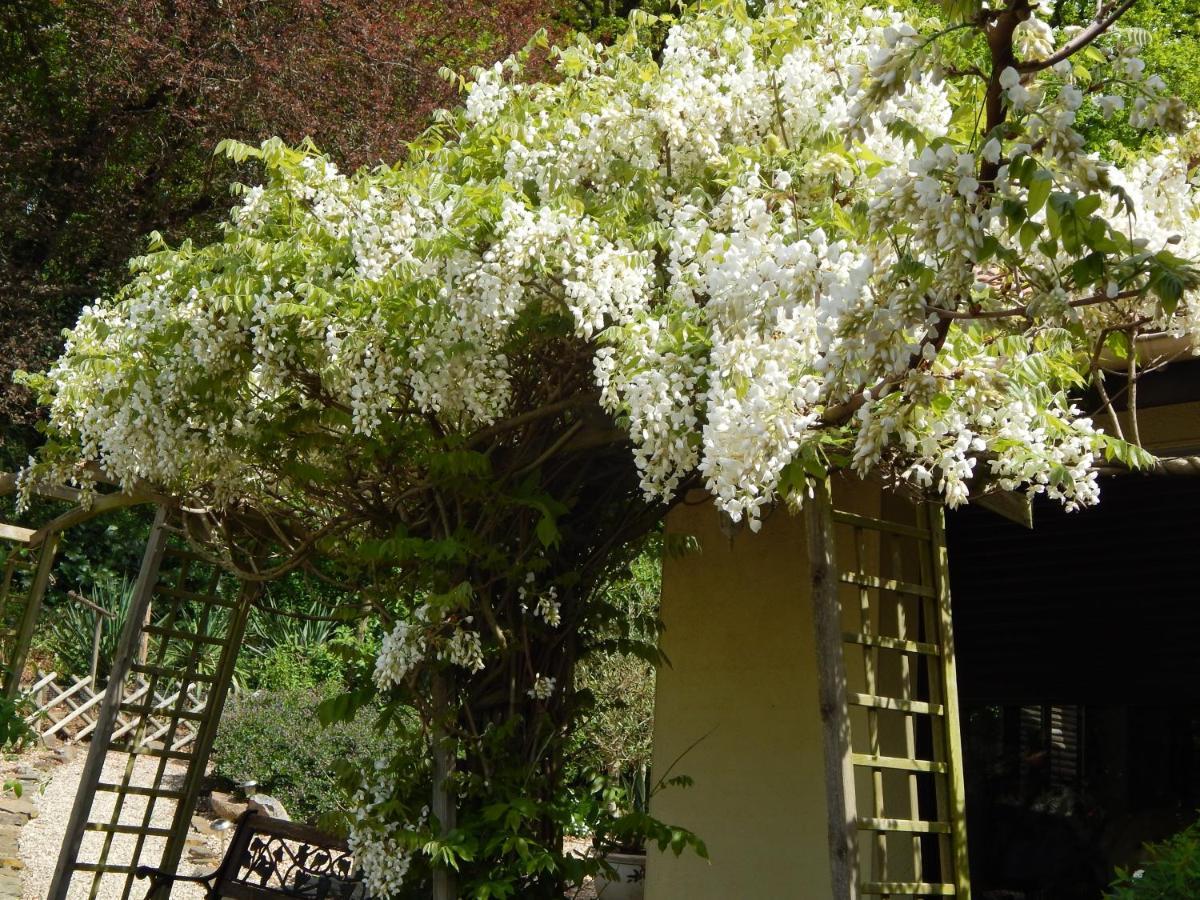 The Petite Chalet Chambre D'Hotes L'Isle-Jourdain  Экстерьер фото