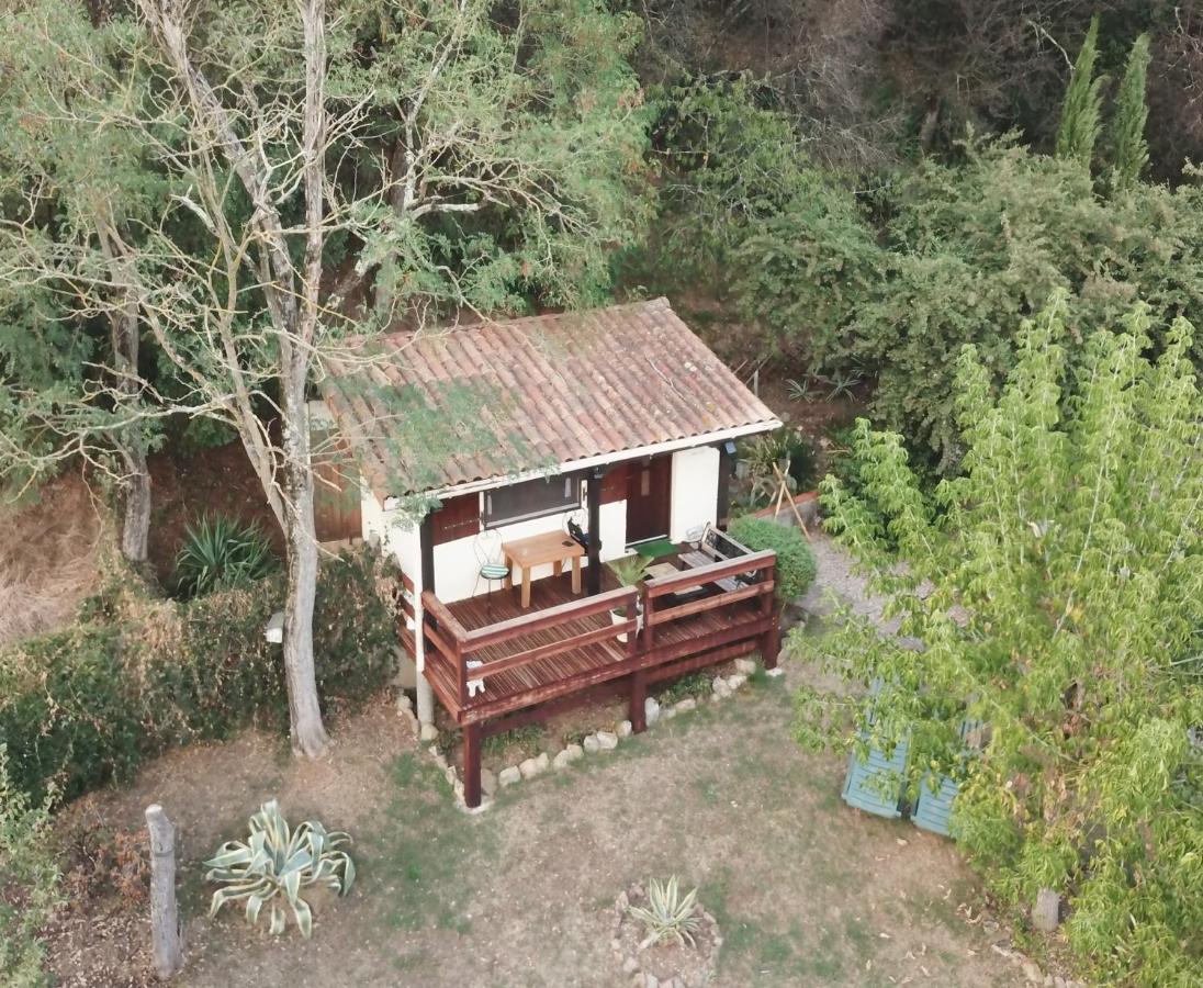 The Petite Chalet Chambre D'Hotes L'Isle-Jourdain  Экстерьер фото